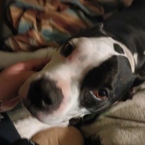 Meet your Posher, Katrina